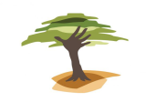 Eden REforestation Projects Logo