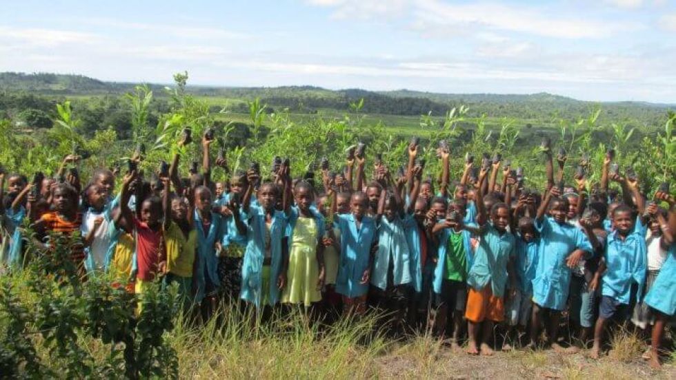 Aufforstungsprojekt in Madagsakar, mitfinanziert durch das Klima+ Zertifikat von GreenWebspace