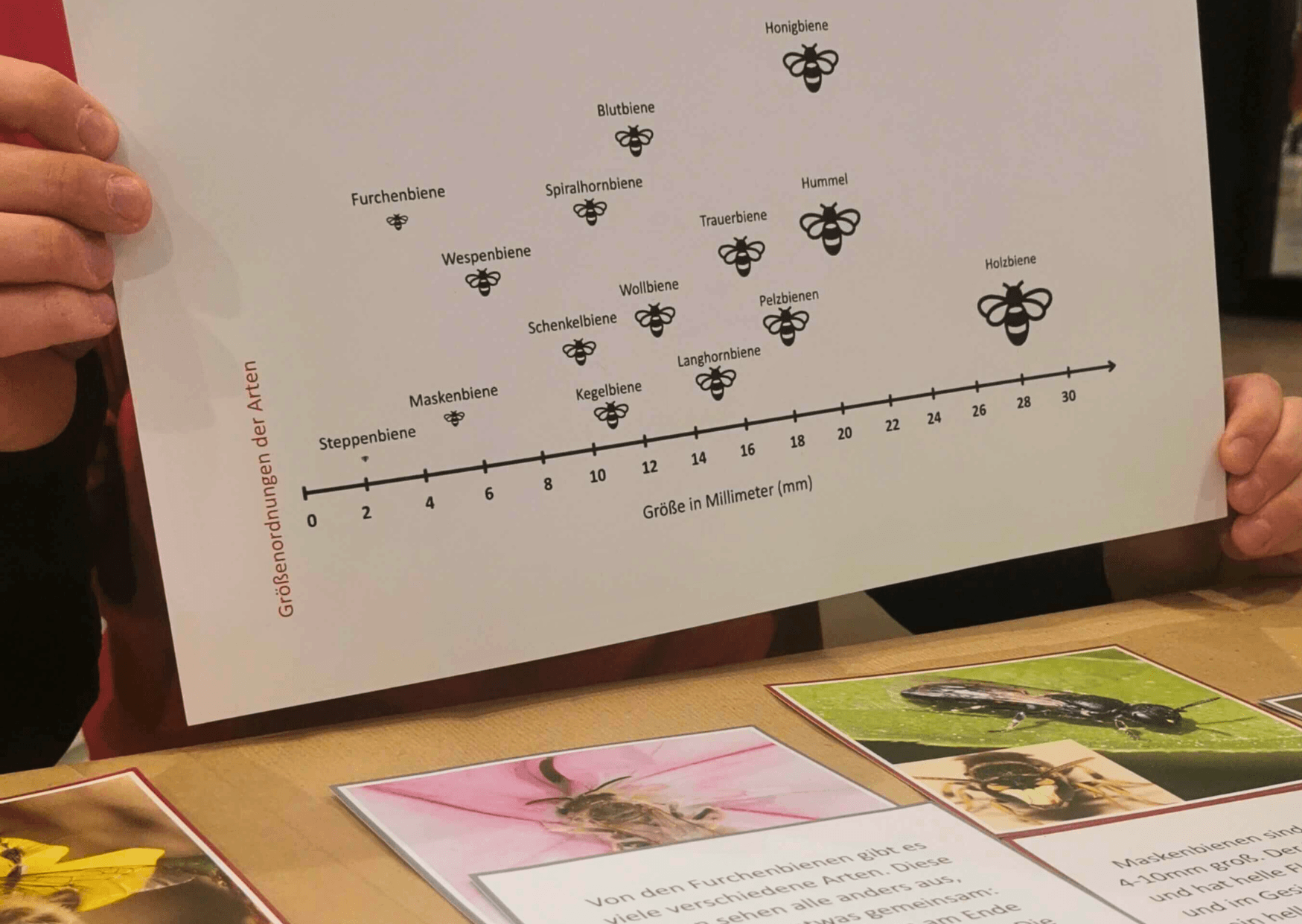 Klimaquiz Pop Up Gerngross Science Center Netzwerk 2026