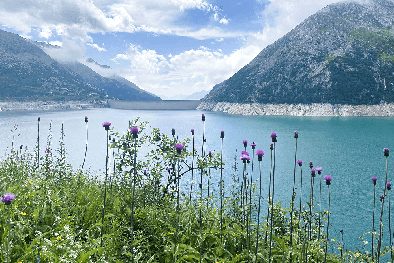 Mit Green Hosting von GreenWebspace wird ausschließlich Ökostrom von Wasserkraft gefördert.