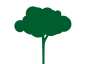Baum